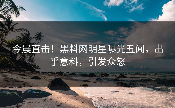 今晨直击！黑料网明星曝光丑闻，出乎意料，引发众怒