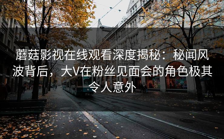 蘑菇影视在线观看深度揭秘：秘闻风波背后，大V在粉丝见面会的角色极其令人意外