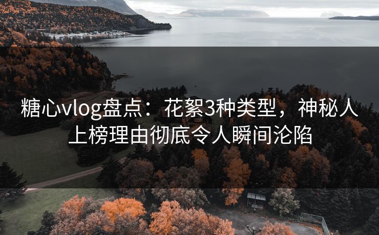 糖心vlog盘点：花絮3种类型，神秘人上榜理由彻底令人瞬间沦陷