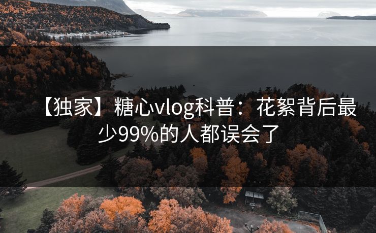 【独家】糖心vlog科普：花絮背后最少99%的人都误会了