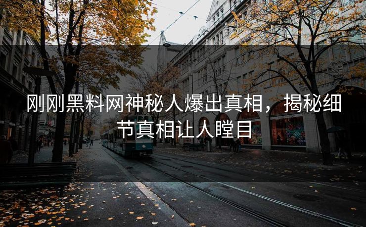 刚刚黑料网神秘人爆出真相，揭秘细节真相让人瞠目