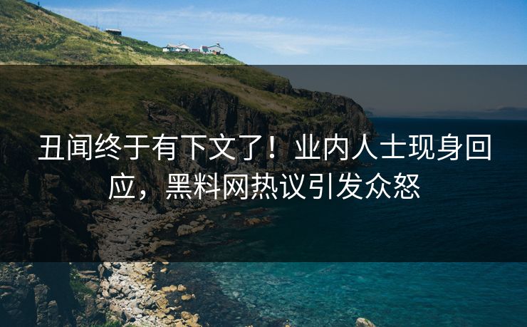 丑闻终于有下文了！业内人士现身回应，黑料网热议引发众怒