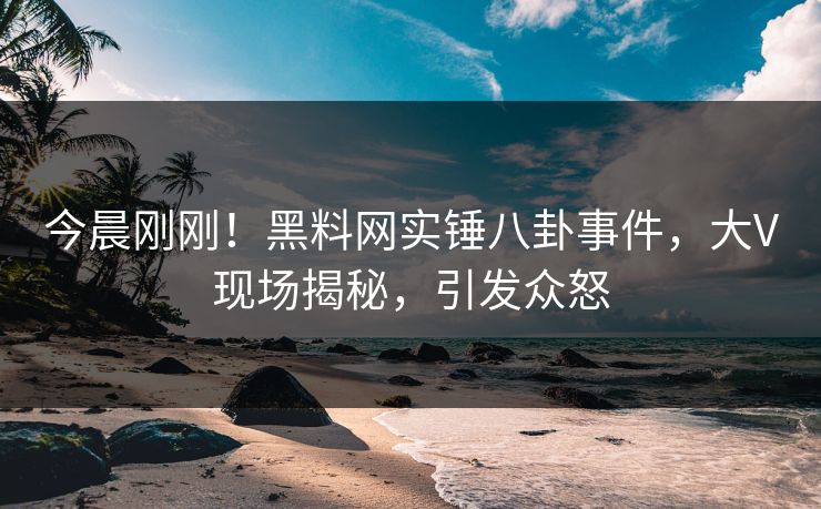今晨刚刚！黑料网实锤八卦事件，大V现场揭秘，引发众怒