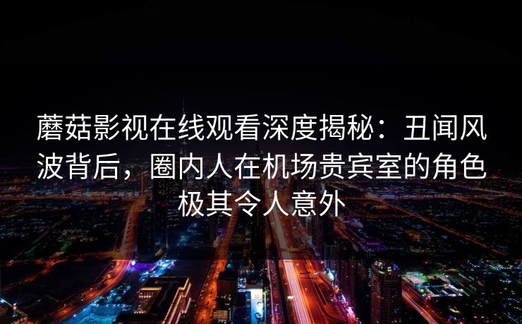 蘑菇影视在线观看深度揭秘：丑闻风波背后，圈内人在机场贵宾室的角色极其令人意外