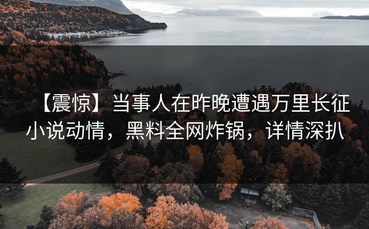【震惊】当事人在昨晚遭遇万里长征小说动情，黑料全网炸锅，详情深扒