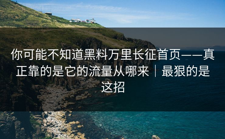你可能不知道黑料万里长征首页——真正靠的是它的流量从哪来｜最狠的是这招