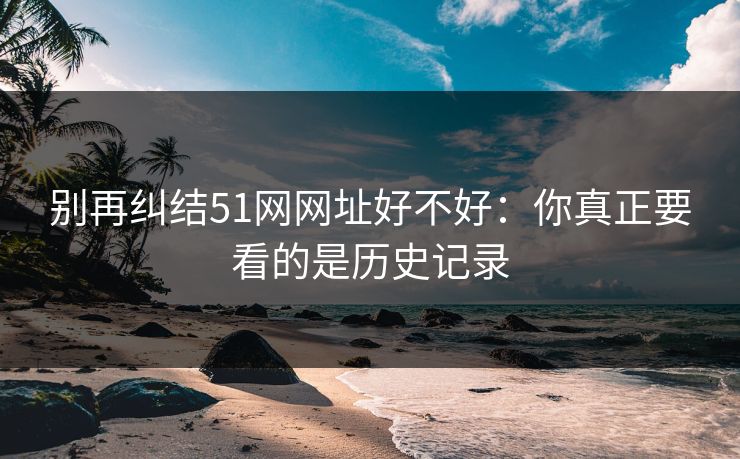 别再纠结51网网址好不好：你真正要看的是历史记录